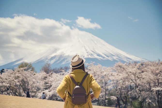 Day Private Mt Fuji Tour Charter English Speaking Driver