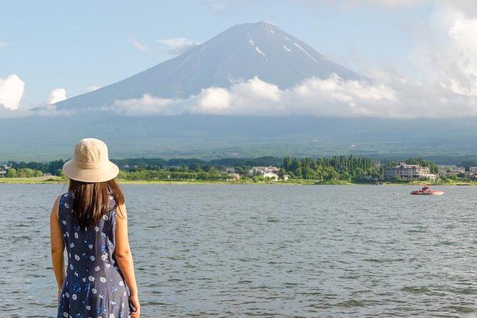 Day Private Mt Fuji Tour Charter English Speaking Driver