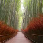 Top Highlights Of Kyoto With Kyoto Bike Tour