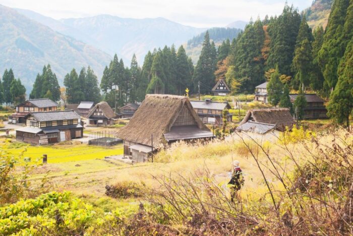 Gakoyama Toyama ()