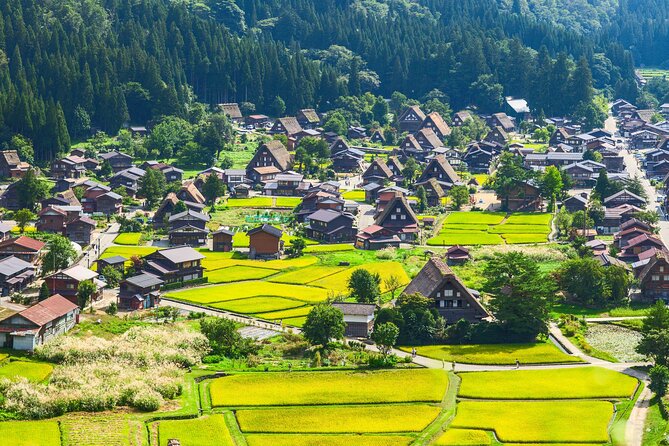 Gokayama and Shirakawago Winter Illuminations Tour from Nagoya ()