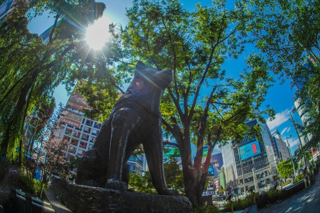 Hachiko Shibuya