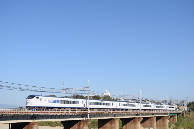 Haruka Express Ticket: Direct Train Between Kansai Airport & Kyoto