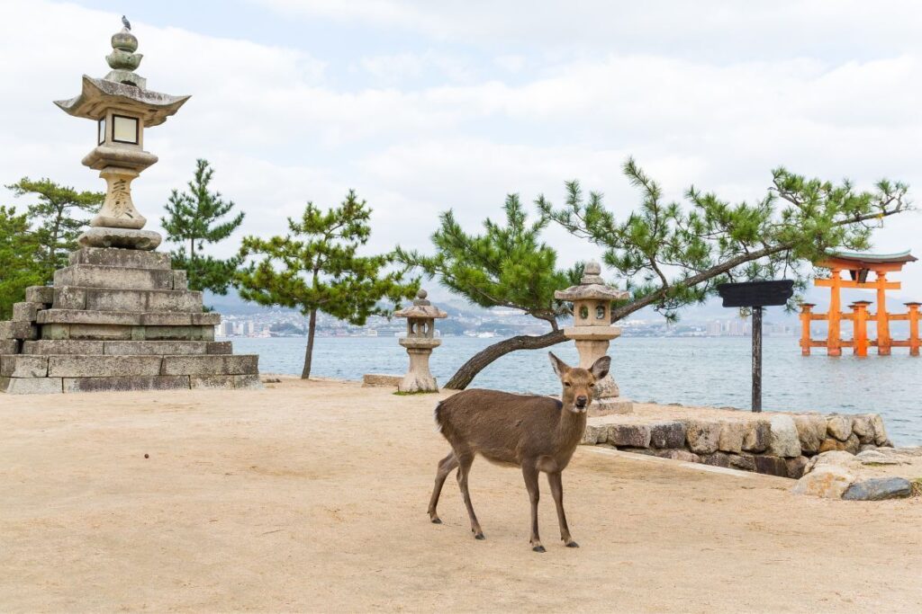 Itsukushima Shrine On Miyajima