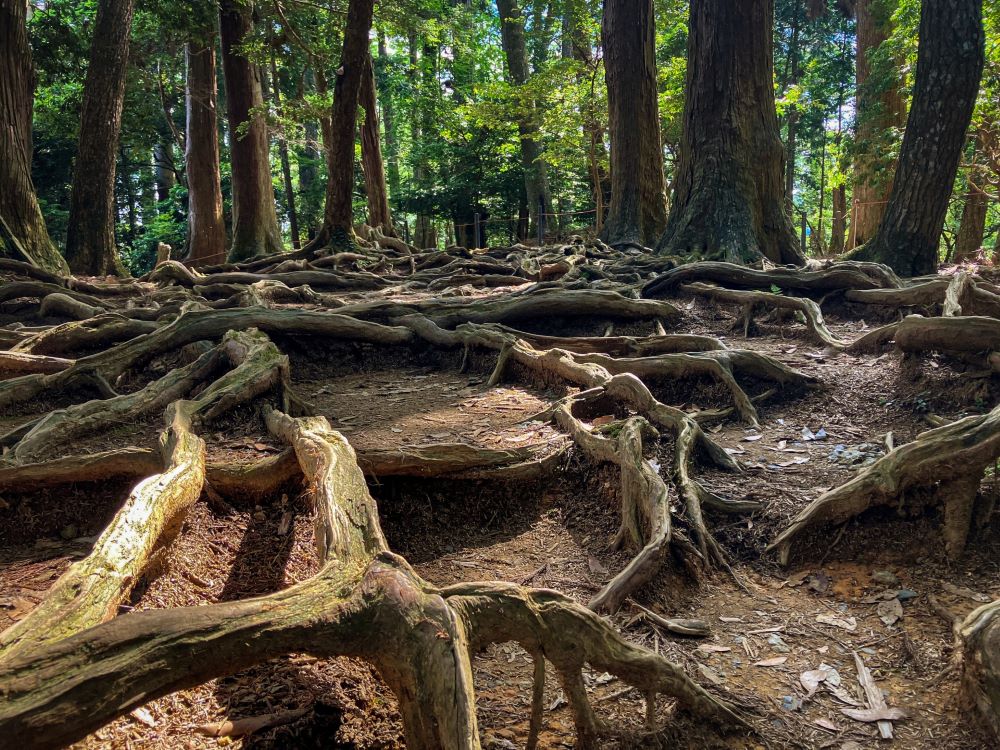 Kurama Kyoto