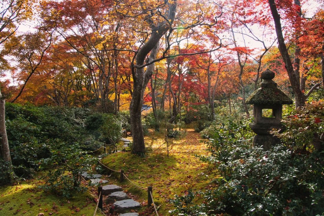 Okochi Sanso Garden kyoto