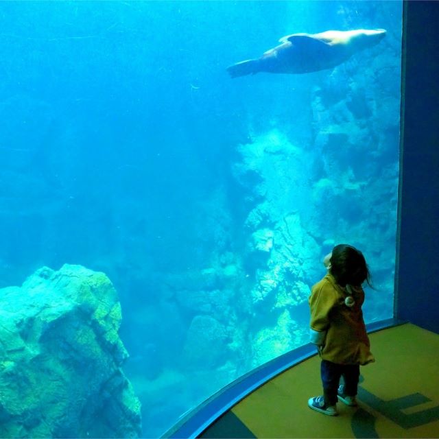 Osaka Aquarium KAIYUKAN