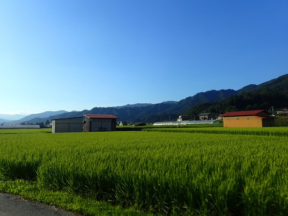 Private group Morning Cycling Tour in Hida Furukawa Gifu Prefecture ()