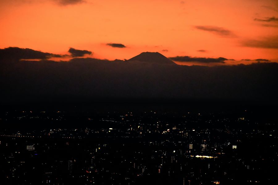 Shibuya Sky Observation Deck