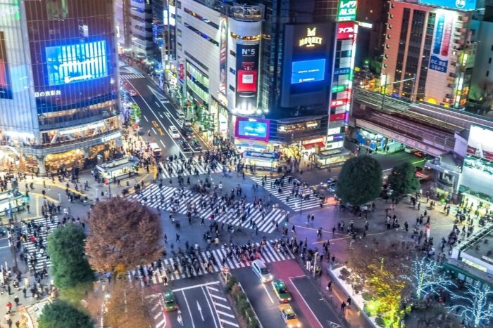 Stay In Shibuya Crossing