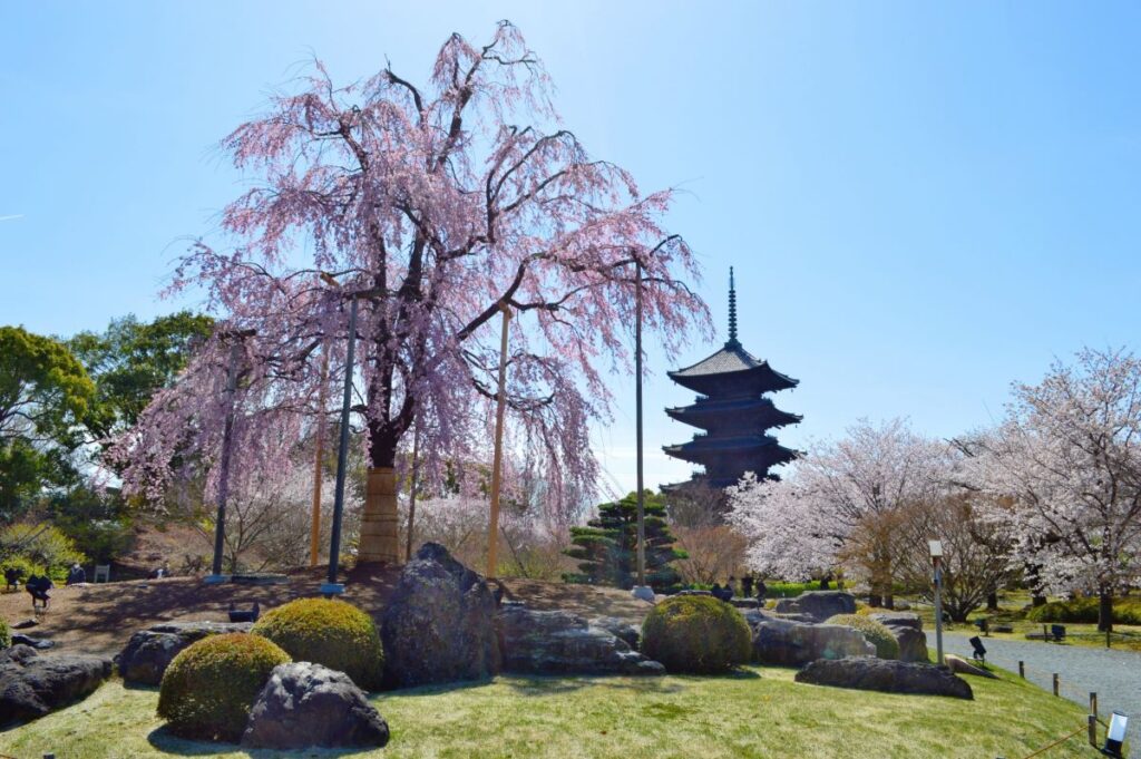 Toji Temple Kyoto