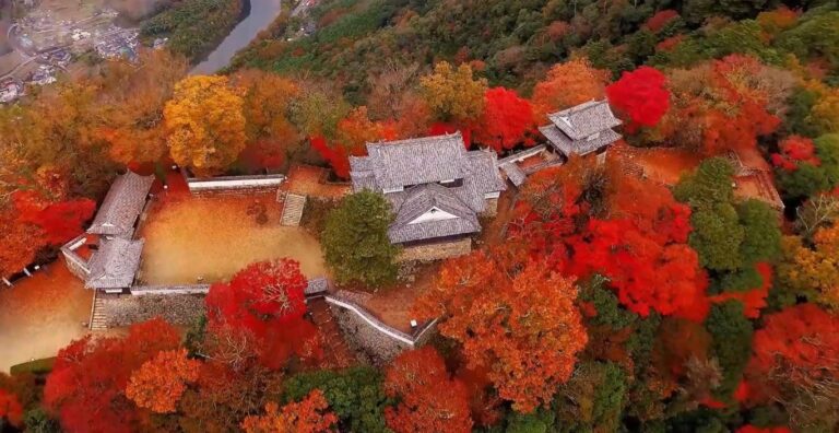 Bichu Matsuyama Castle In Fall