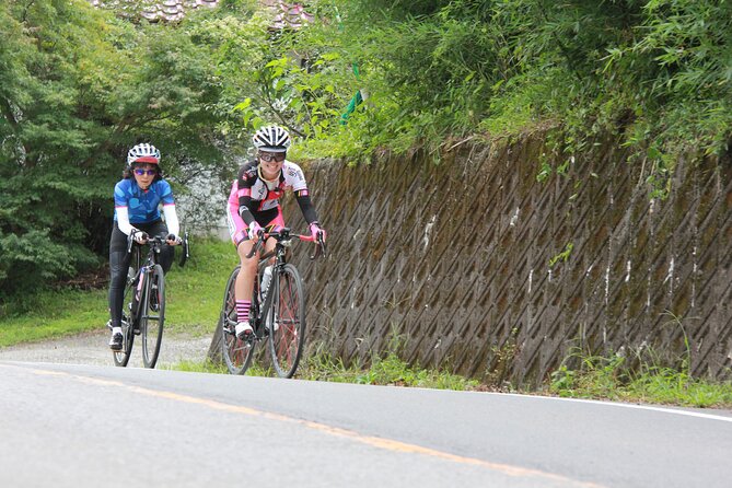 Akagi Mountain E-Bike Hill Climbing Tour - Safety Tips for Hill Climbing