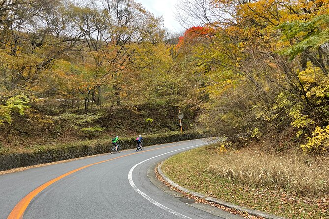 Akagi Mountain E-Bike Hill Climbing Tour - Booking and Pricing Information