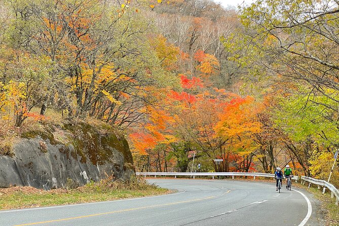 Akagi Mountain E-Bike Hill Climbing Tour - Best Time to Visit Akagi Mountain