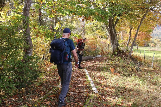 Full Day North Nagano Hiking Experience - Equipment and Preparation