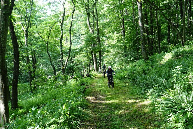 Half Day E-Bike Adventure Tour in Nagano - Itinerary