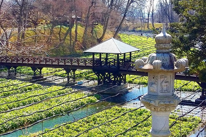 Wasabi Farm Discovery Walking Tour - Tour Details