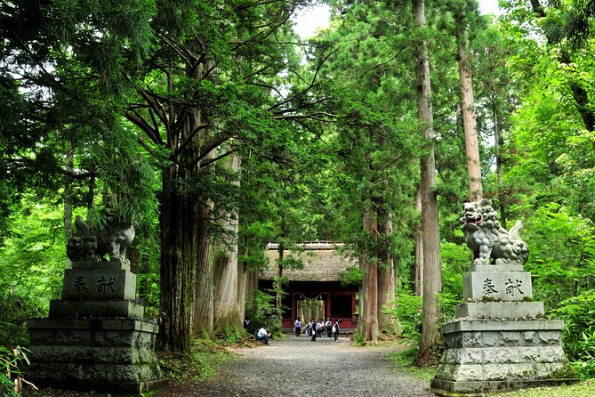 Nagano All Must-Sees Half Day Private Tour With Government-Licensed Guide - Private Licensed Local Guide