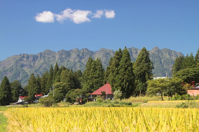 Nagano All Must-Sees Half Day Private Tour With Government-Licensed Guide - Pricing and Miscellaneous