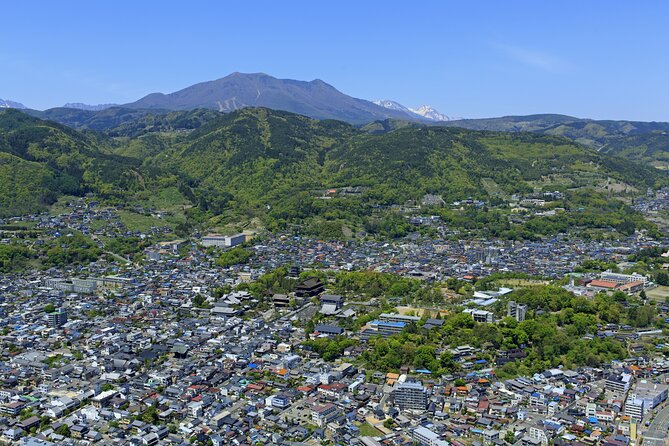 Nagano All Must-Sees Half Day Private Tour With Government-Licensed Guide - Customizable Tour Options