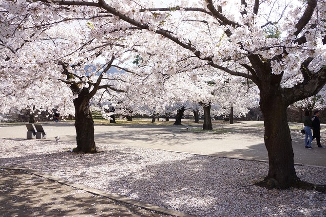 (Spring Only) 1-Day Snow Monkeys & Cherry Blossoms in Nagano Tour - Meeting and Pickup Information