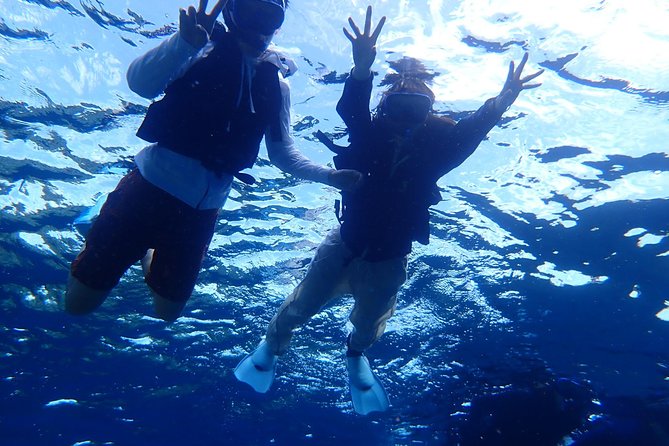 [Ishigaki]Phantom Island Snorkeling Taketomi Island Sightseeing - Tour Highlights