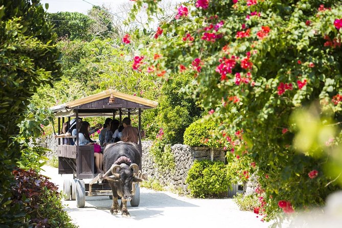 [Ishigaki]Phantom Island Snorkeling Taketomi Island Sightseeing - Phantom Island Discovery