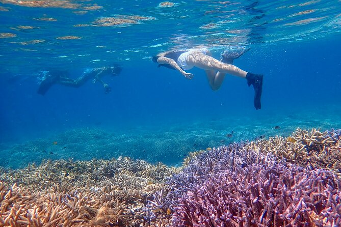 [Ishigaki]Phantom Island Snorkeling Taketomi Island Sightseeing - Booking Information and Pricing