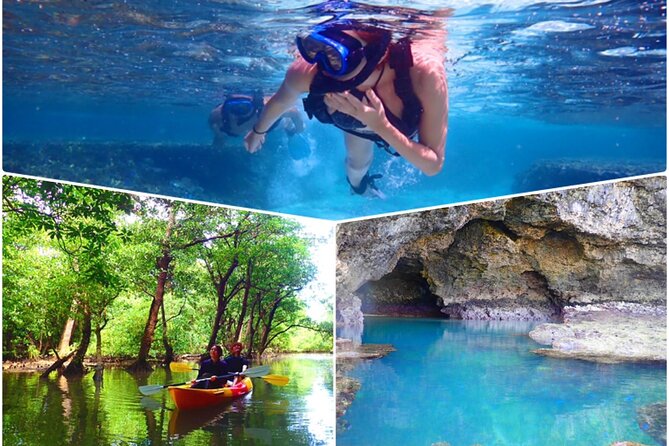 Ishigaki Mangrove Sup Canoe Blue Cave Snorkeling Quick Takeaways