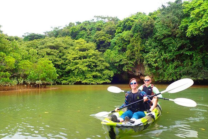 [Ishigaki]Mangrove SUP/Canoe Blue Cave Snorkeling - Exploring the Mangroves: SUP/Canoe Adventure