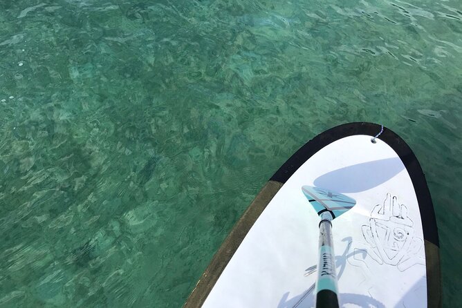 Private SUP Cruising Experience in Ishigaki Island - Fees, Taxes, and Refund Policy