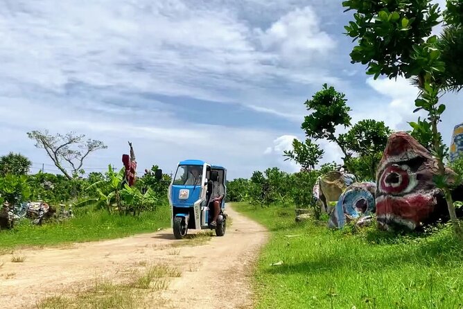 2時間の3人乗り電動トライクのレンタル（石垣島、沖縄） - Traveler Reviews