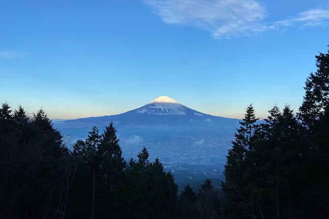 Hakone Old Tokaido Road and Volcano Full-Day Hiking Tour - Meeting Point Details