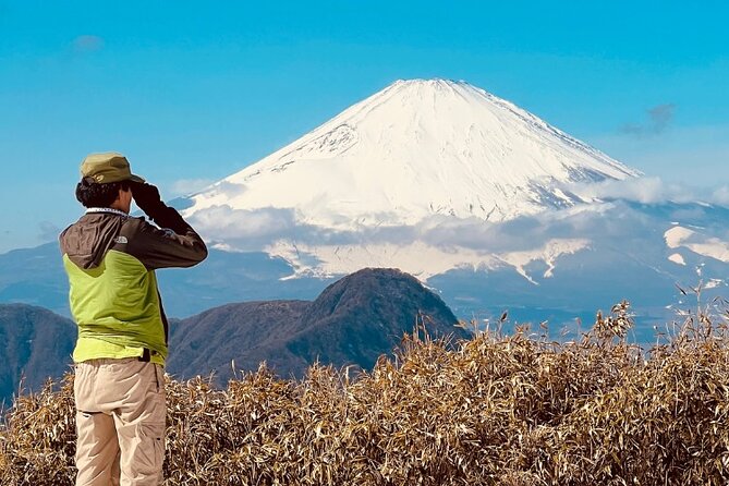 Traverse Outer Rim of Hakone Caldera and Enjoy Onsen Hiking Tour - How to Book the Tour