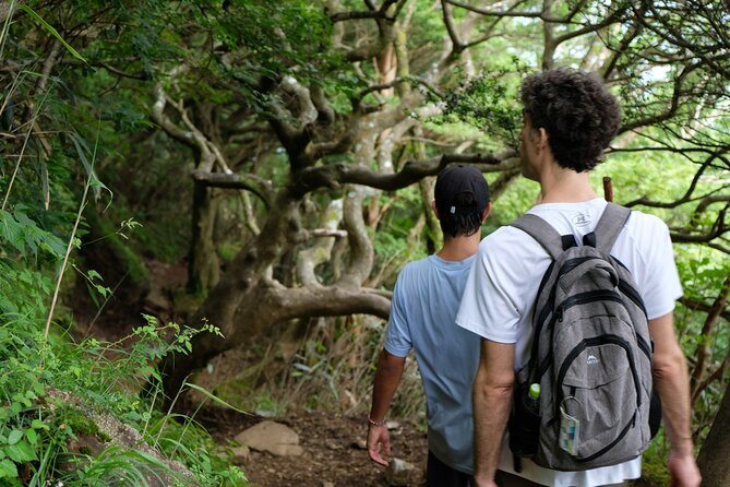 Traverse Outer Rim of Hakone Caldera and Enjoy Onsen Hiking Tour - The Sum Up