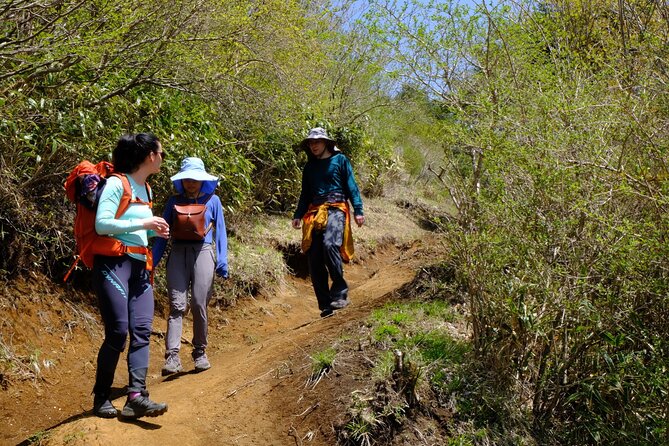 Traverse Outer Rim of Hakone Caldera and Enjoy Onsen Hiking Tour - Frequently Asked Questions