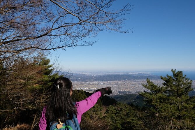 Traverse Outer Rim of Hakone Caldera and Enjoy Onsen Hiking Tour - Essential Tips for the Tour