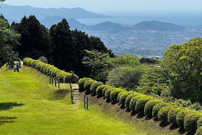 Hike Japan Heritage Hakone Hachiri With Certified Mountain Guide - Customer Support and Contact Information