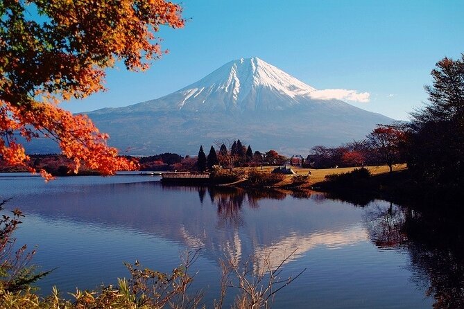 Hakone 6 Hour Private Tour With Government-Licensed Guide - Public Transportation and Transfers