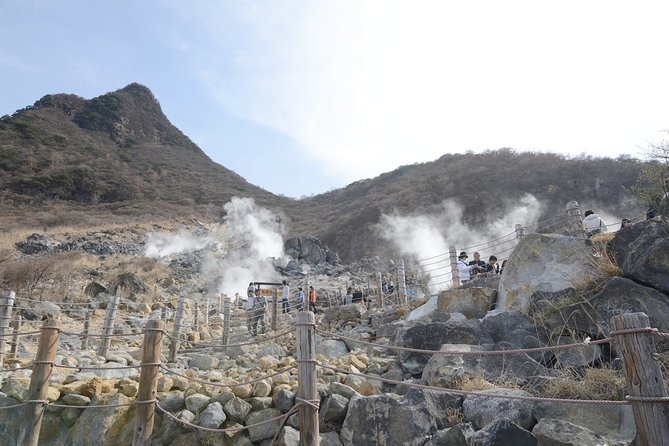 Hakone 8 Hour Private Tour With Government-Licensed Guide - Traveler Photos