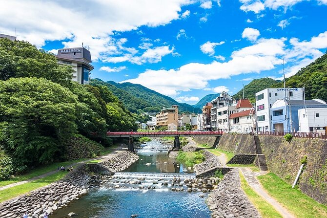 Hakone 8 Hour Private Tour With Government-Licensed Guide - Appreciation for the Tour Experience