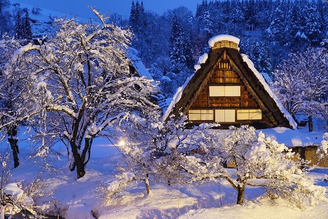 Shirakawago All Must-Sees Private Chauffeur Tour With a Driver (Takayama Dep.) - Pricing and Booking Details