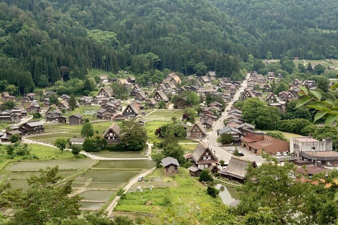 1-Day Takayama Tour: Explore Scenic Takayama and Shirakawago - Reviews