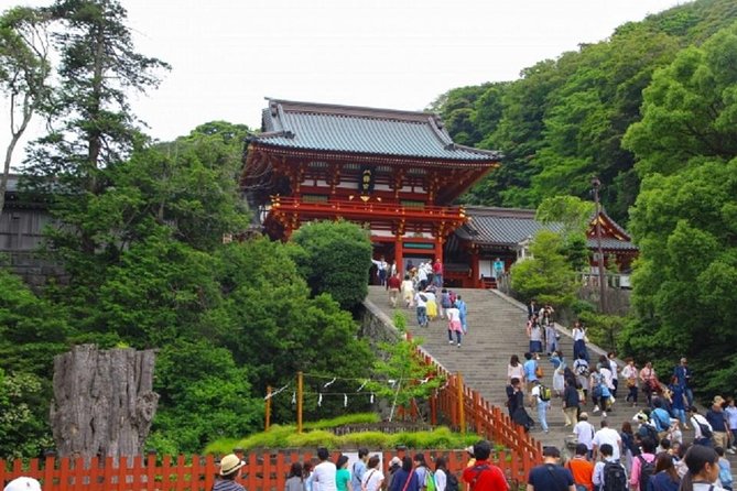 Kamakura Bamboo Forest and Great Buddha Private Tour - Reviews and Ratings