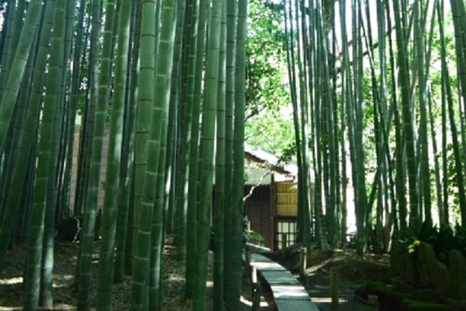 Kamakura Bamboo Forest and Great Buddha Private Tour - Additional Information About Kamakura