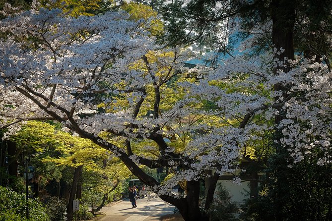 A Fun Day Out Discovering Kamakura - Exciting Outdoor Adventures in Kamakura