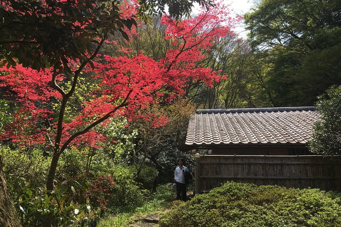 Kamakura Private Walking Tour - Reviews