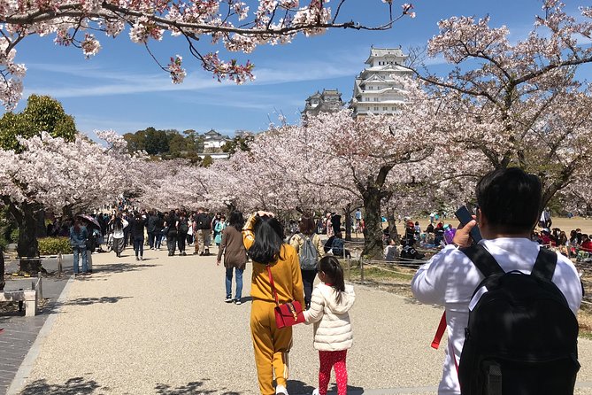 HIMEJI CASTLE Custom Tour With Private Car and Driver (Max 9 Pax) - Reviews