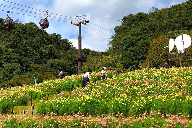 1-Day Kobe Highlights Tour Including Sake Tasting - Activity End and Meeting Point